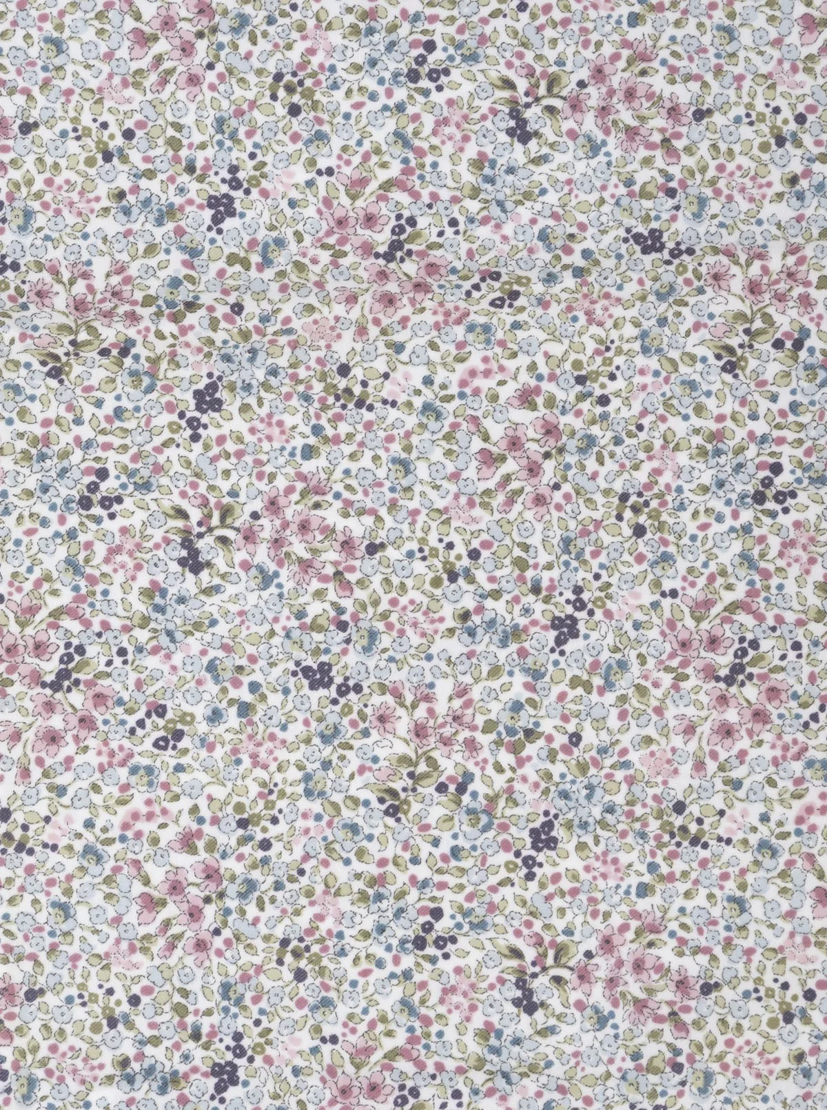 Peine Escarpidor Blanca Azules - Image 2